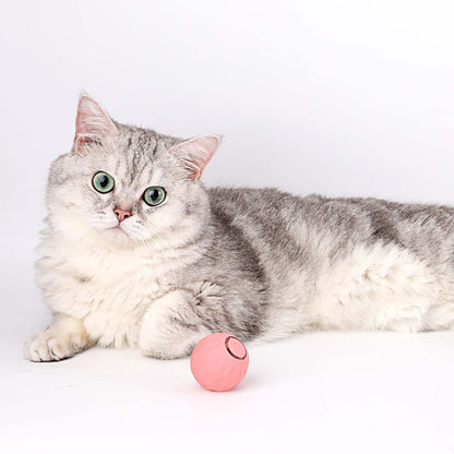 Purrball 2.0