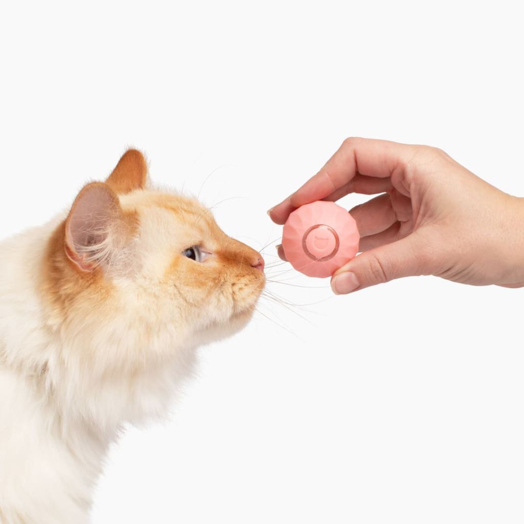 Purrball 2.0