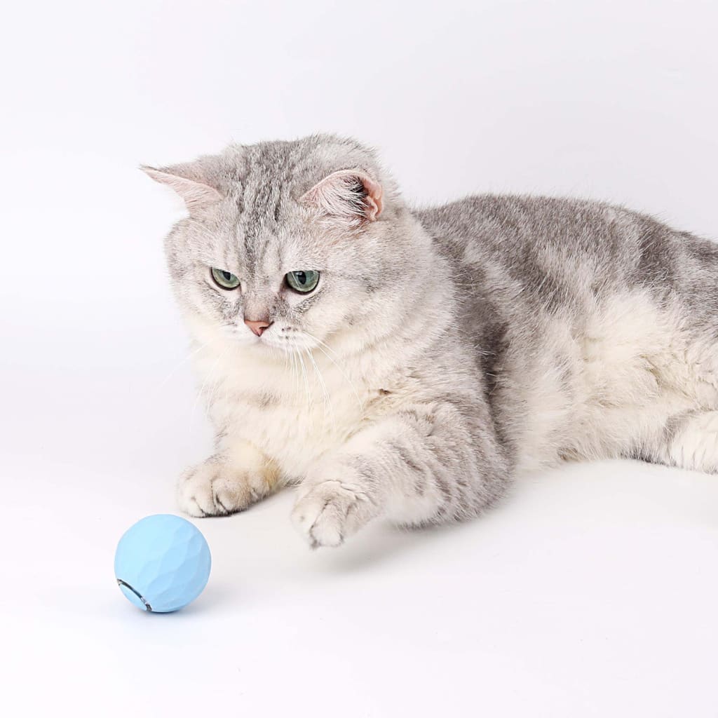 Purrball 2.0