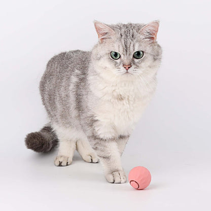 Purrball 2.0