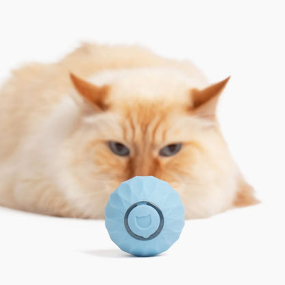Purrball 2.0