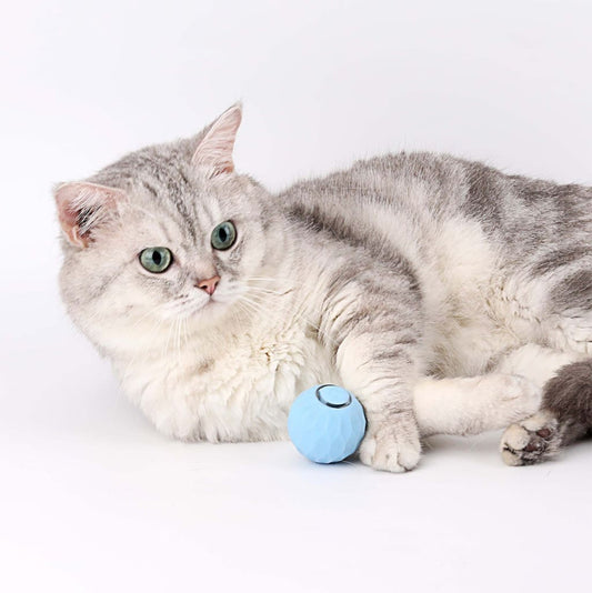 Purrball 2.0